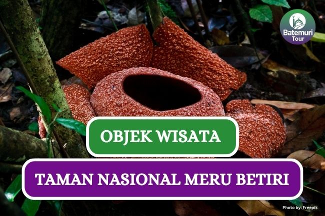 7 Tempat Wisata Menarik di Taman Nasional Meru Betiri